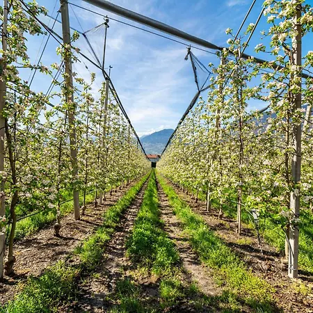 Apartamento Rosa Unterschoeberlehof - Lene Merano